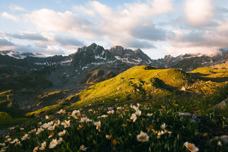 Questions fr&eacute;quentes