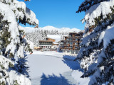 20231203_130209.jpg