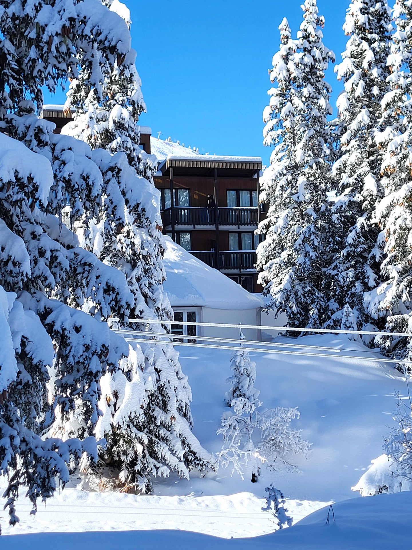 20231203_131019.jpg 20231203_131019.jpg