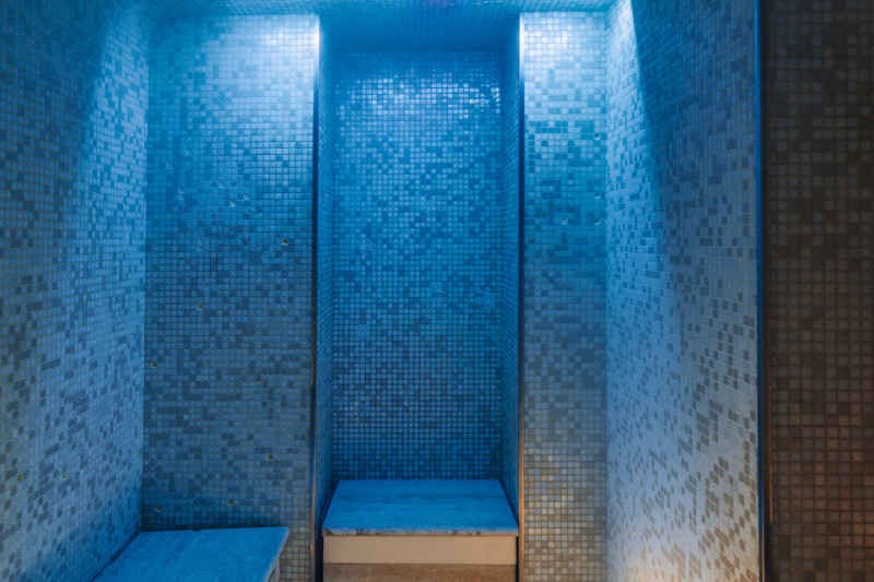 Hammam - Hôtel Les Peupliers