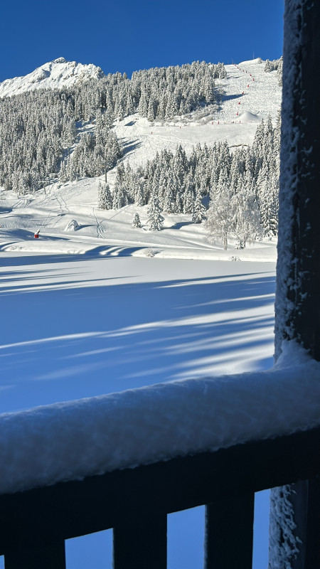 image00005.jpeg