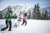 217_1_APPRALONG203_lv_images__lot_0020000375_10_20261007130526