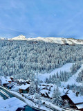 _lv_images__lot_0000000036_16_2752736