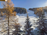 _lv_images__lot_0000000050_15_2072950