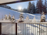 _lv_images__lot_0000000051_11_273465