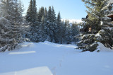 Vue hiver
