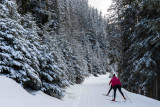 _lv_images__lot_0020000266_06_2603734