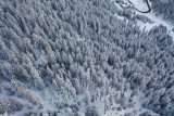_lv_images__lot_0020000275_11_2723196