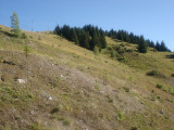 Vue été