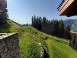 Vue