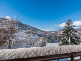 _lv_images__lot_0060511389_15_2600164