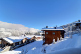 _lv_images__lot_0100001102_15_2718053