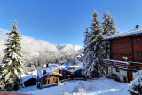 _lv_images__lot_0100001928_15_2709762
