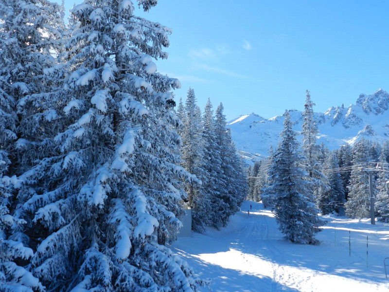 _clients_227312003_photos_302j_1203584