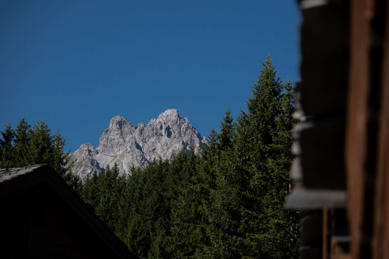 _clients_227312003_photos_444w_1716102