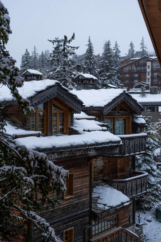 _clients_227312003_photos_450z_423321 _clients_227312003_photos_450z_423321