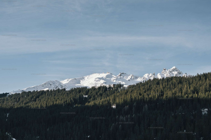 _clients_227322701_photos_3g_856056 _clients_227322701_photos_3g_856056