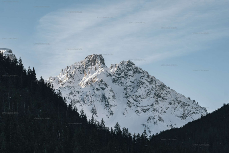 _clients_227322701_photos_9q_1502828 _clients_227322701_photos_9q_1502828