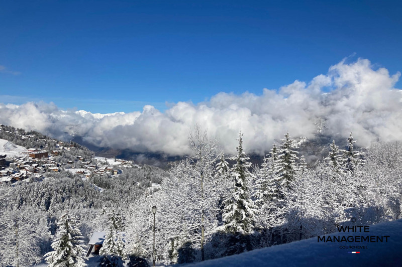 _lv_images__lot_0000000001_15_1374406