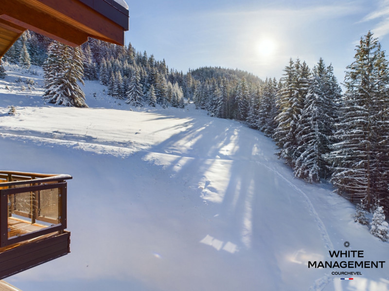 _lv_images__lot_0000000037_16_2598610