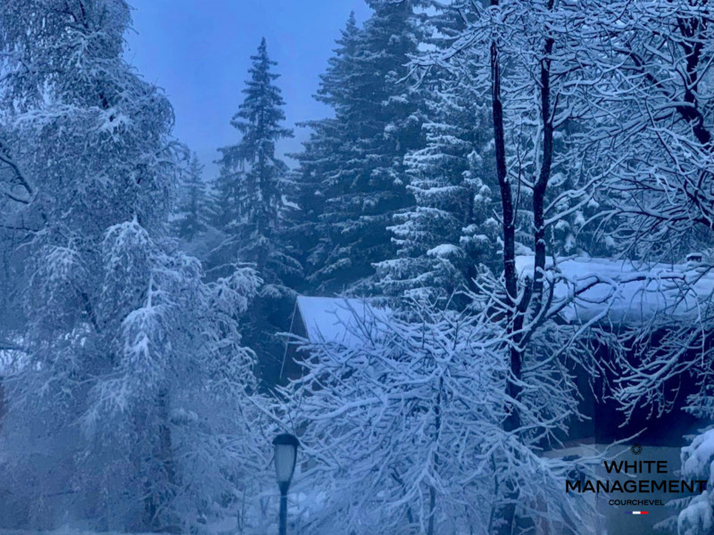 _lv_images__lot_0000000039_09_722658