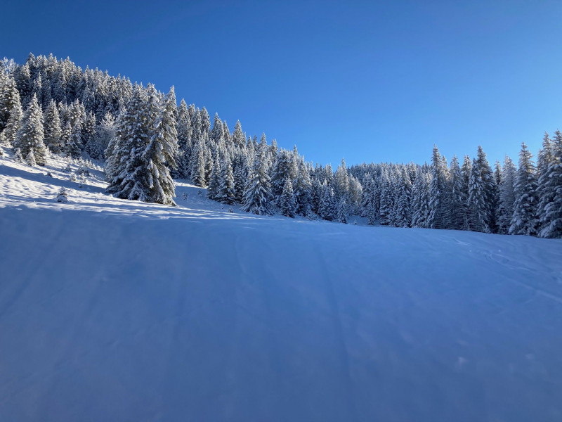 _lv_images__lot_0000000045_10_273388 _lv_images__lot_0000000045_10_273388
