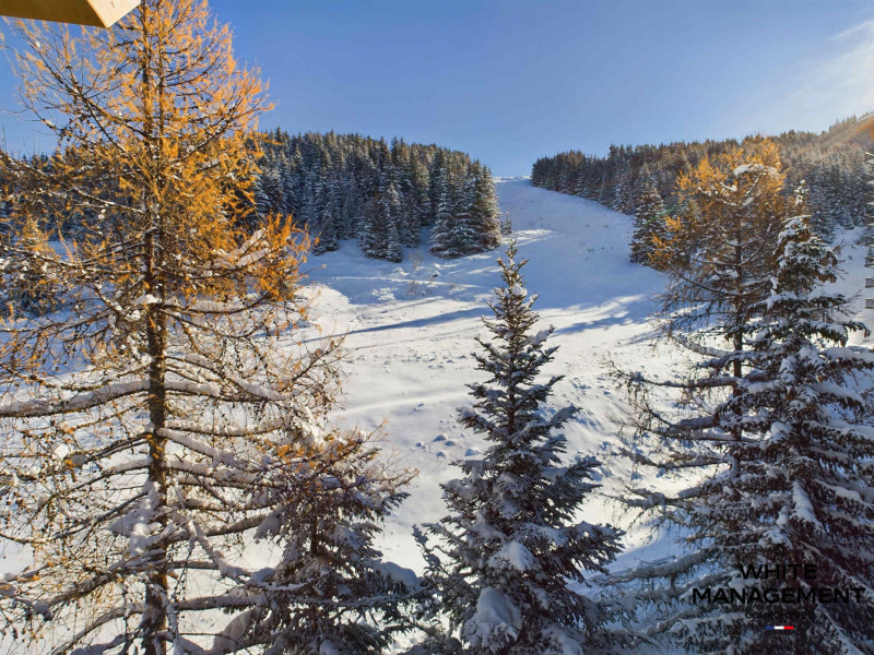 _lv_images__lot_0000000050_15_574436 _lv_images__lot_0000000050_15_574436