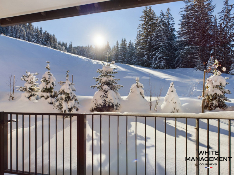 _lv_images__lot_0000000051_11_424240