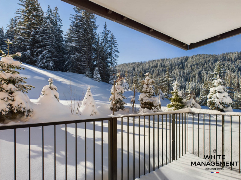 _lv_images__lot_0000000051_13_1205183 _lv_images__lot_0000000051_13_1205183