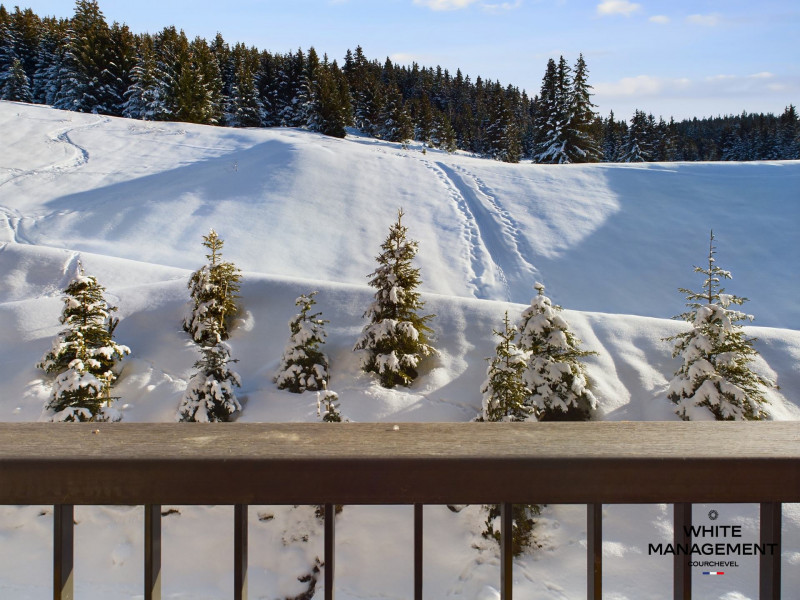 _lv_images__lot_0000000059_13_722499