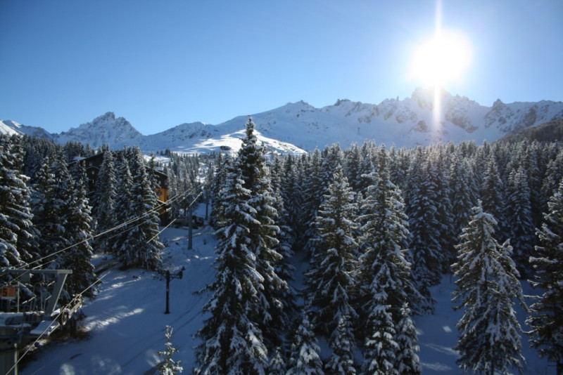 _lv_images__lot_0018010009_04_2724036