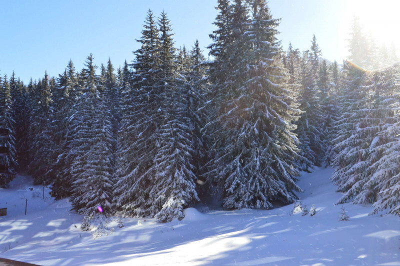 _lv_images__lot_0018010405_08_1722174