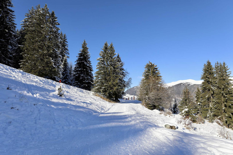 Vue hiver