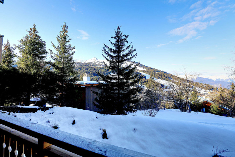 _lv_images__lot_0020000186_11_277515 _lv_images__lot_0020000186_11_277515