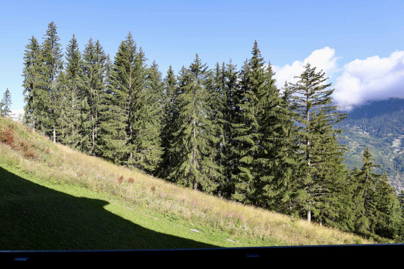 _lv_images__lot_0020000192_06_277882 _lv_images__lot_0020000192_06_277882