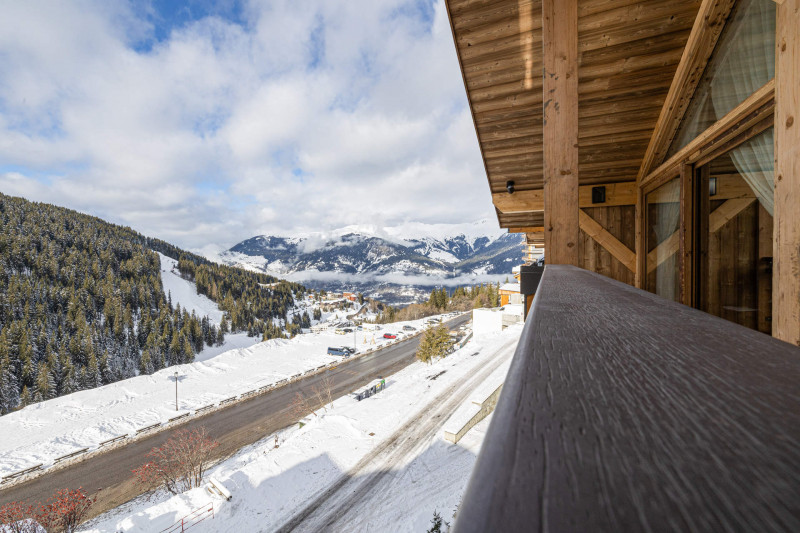 _lv_images__lot_0020000233_16_277375 _lv_images__lot_0020000233_16_277375