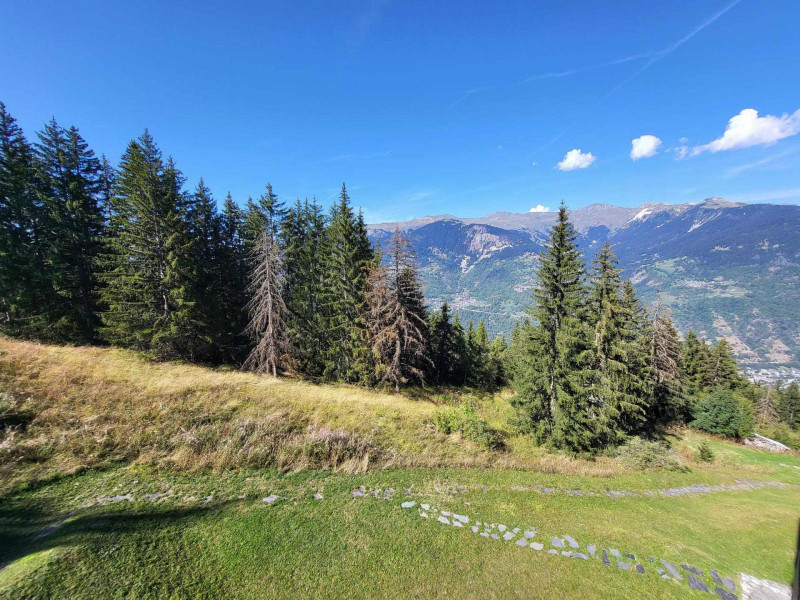 Vue été Vue été