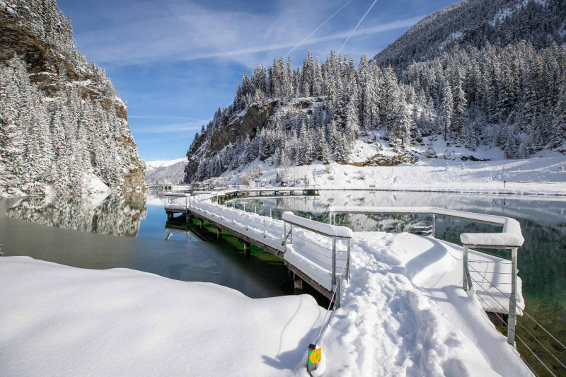 _lv_images__lot_0020000266_08_1276499