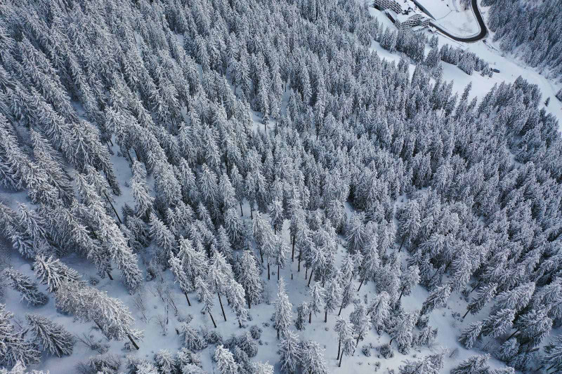 _lv_images__lot_0020000275_11_726500