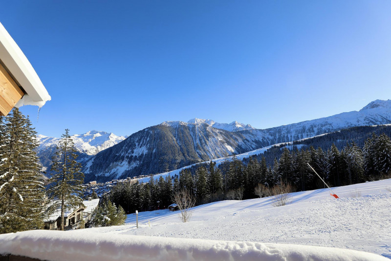 _lv_images__lot_0020000275_13_277503 _lv_images__lot_0020000275_13_277503