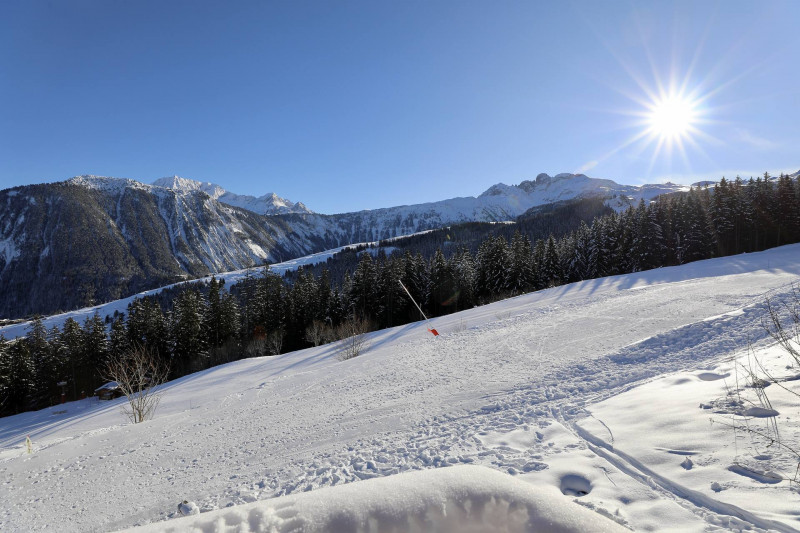_lv_images__lot_0020000275_14_277504 _lv_images__lot_0020000275_14_277504