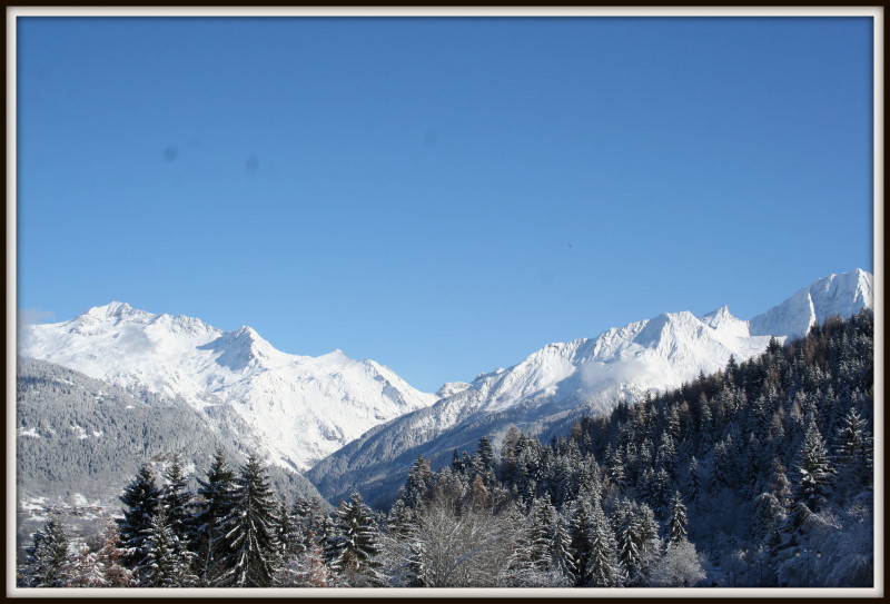 _lv_images__lot_0020000332_16_277068 _lv_images__lot_0020000332_16_277068