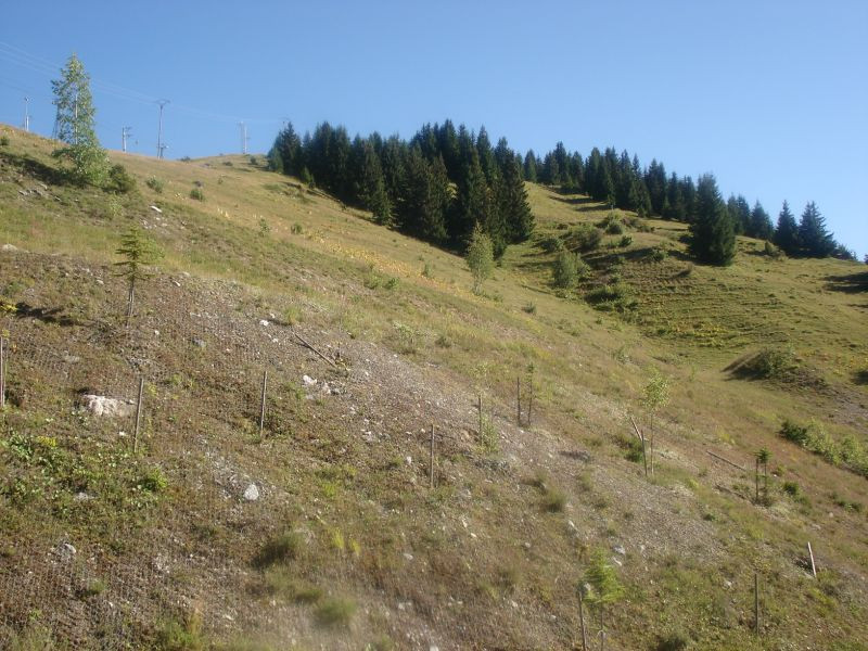 Vue été