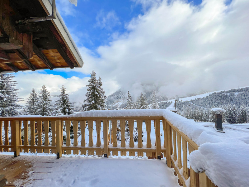 _lv_images__lot_0060510915_09_276156 _lv_images__lot_0060510915_09_276156