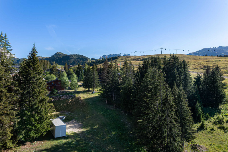 _lv_images__lot_0060510989_16_2574614 _lv_images__lot_0060510989_16_2574614