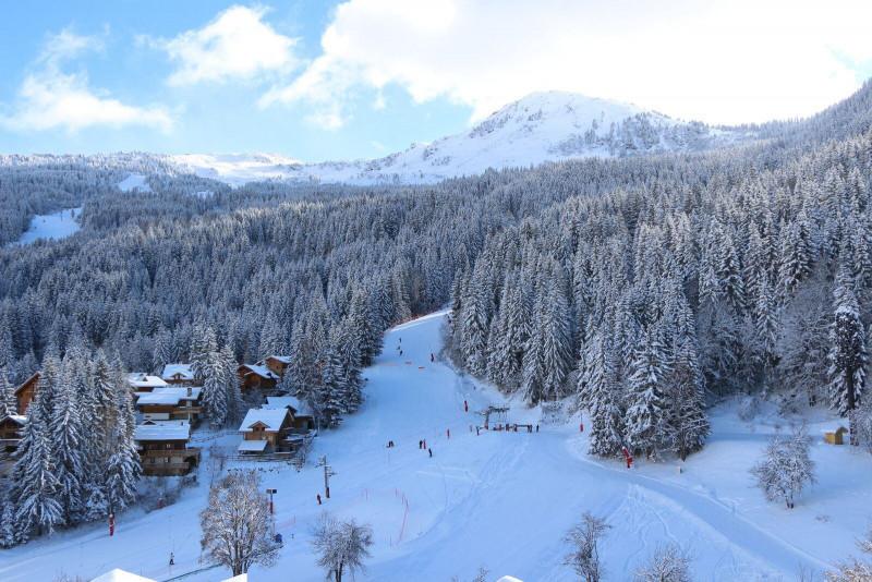 _lv_images__lot_0075553531_10_1246355