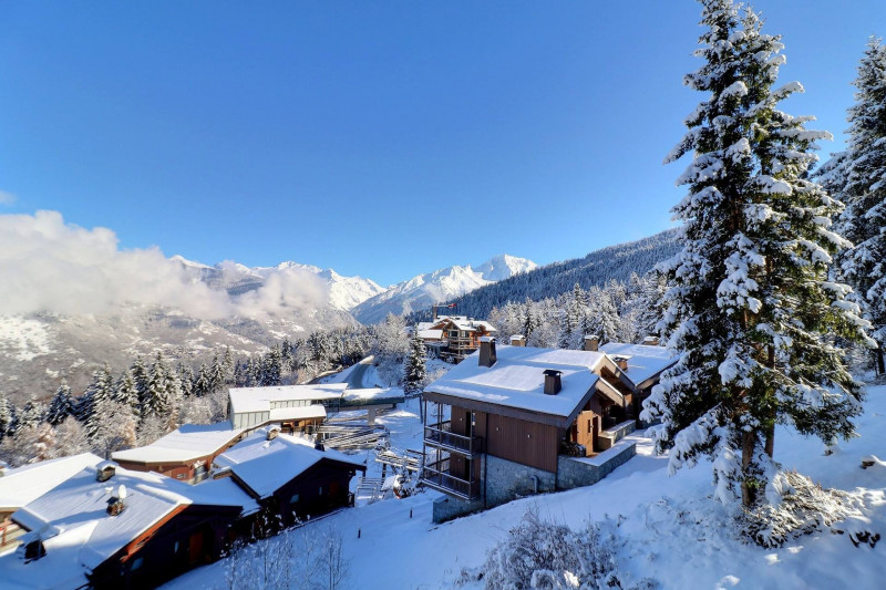 _lv_images__lot_0100001716_15_1196483 _lv_images__lot_0100001716_15_1196483