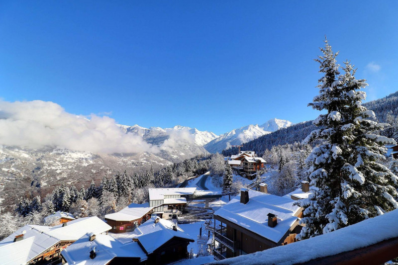 _lv_images__lot_0100001924_15_880043